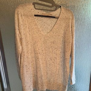 LOFT Neutral V Neck Sweater